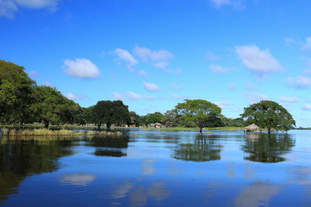 Pantanal